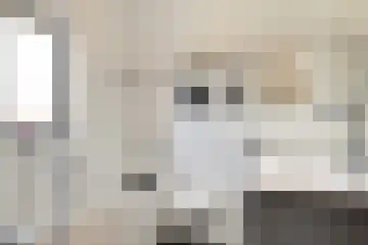 De Poort 6 Kesteren thumbnail 5