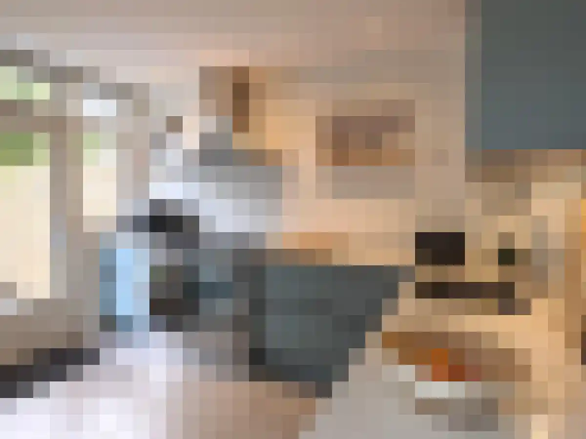 De Poorterstraat 39 Den Haag thumbnail 5