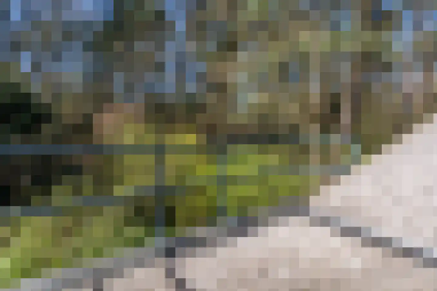 De Popels 31 in Twijzelerheide