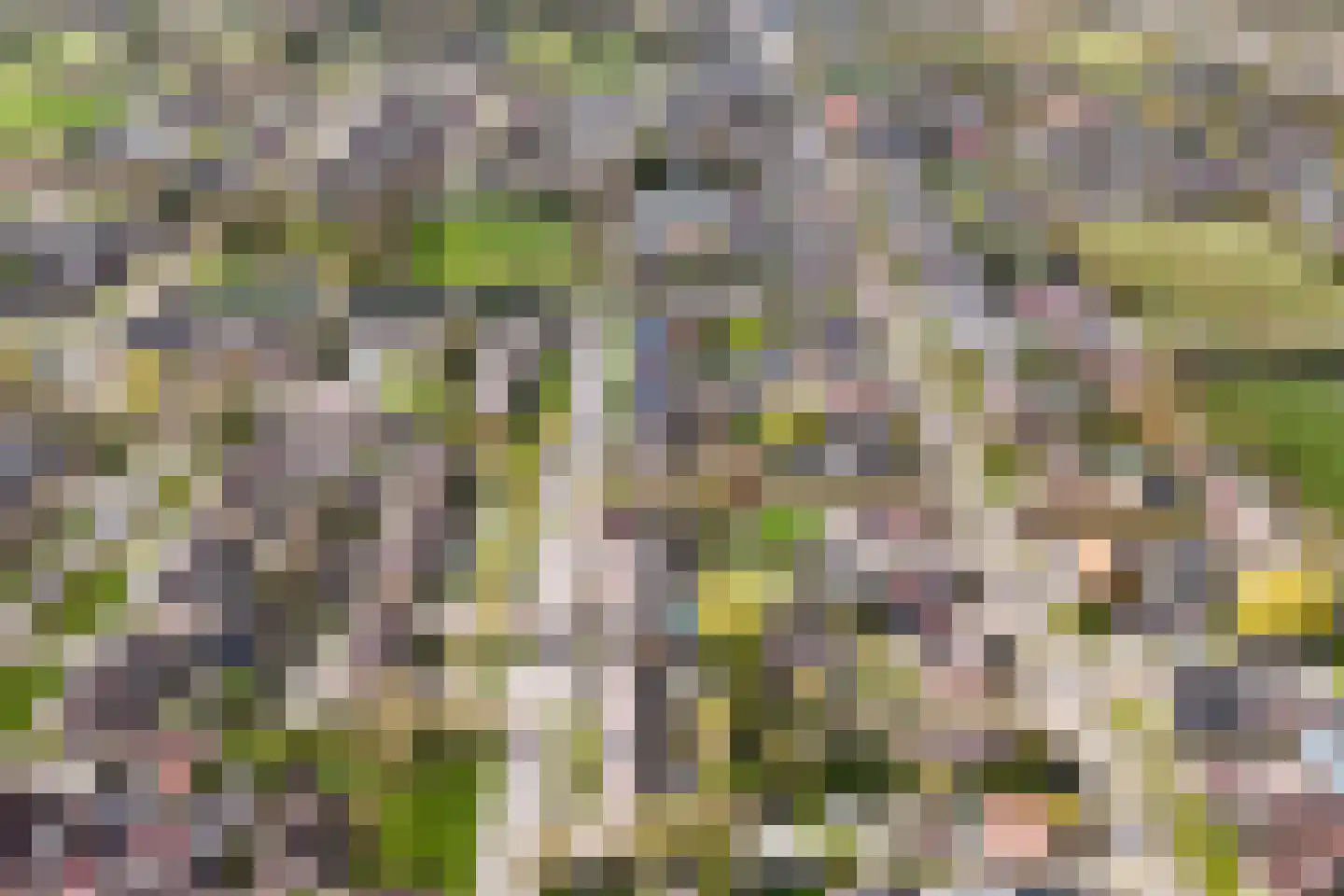 De Popels 31 Twijzelerheide thumbnail 27