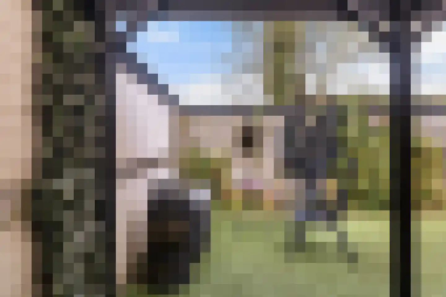 De Popels 31 Twijzelerheide thumbnail 6