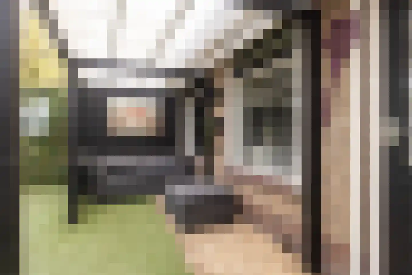 De Popels 31 Twijzelerheide thumbnail 7