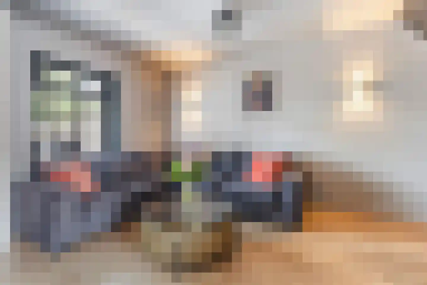 De Popels 37 Twijzelerheide thumbnail 10
