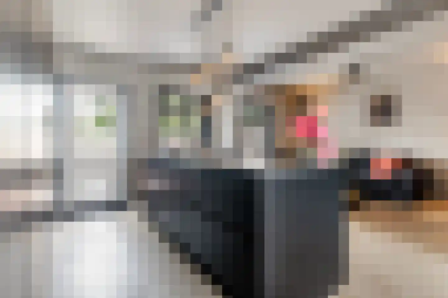 De Popels 37 Twijzelerheide thumbnail 20