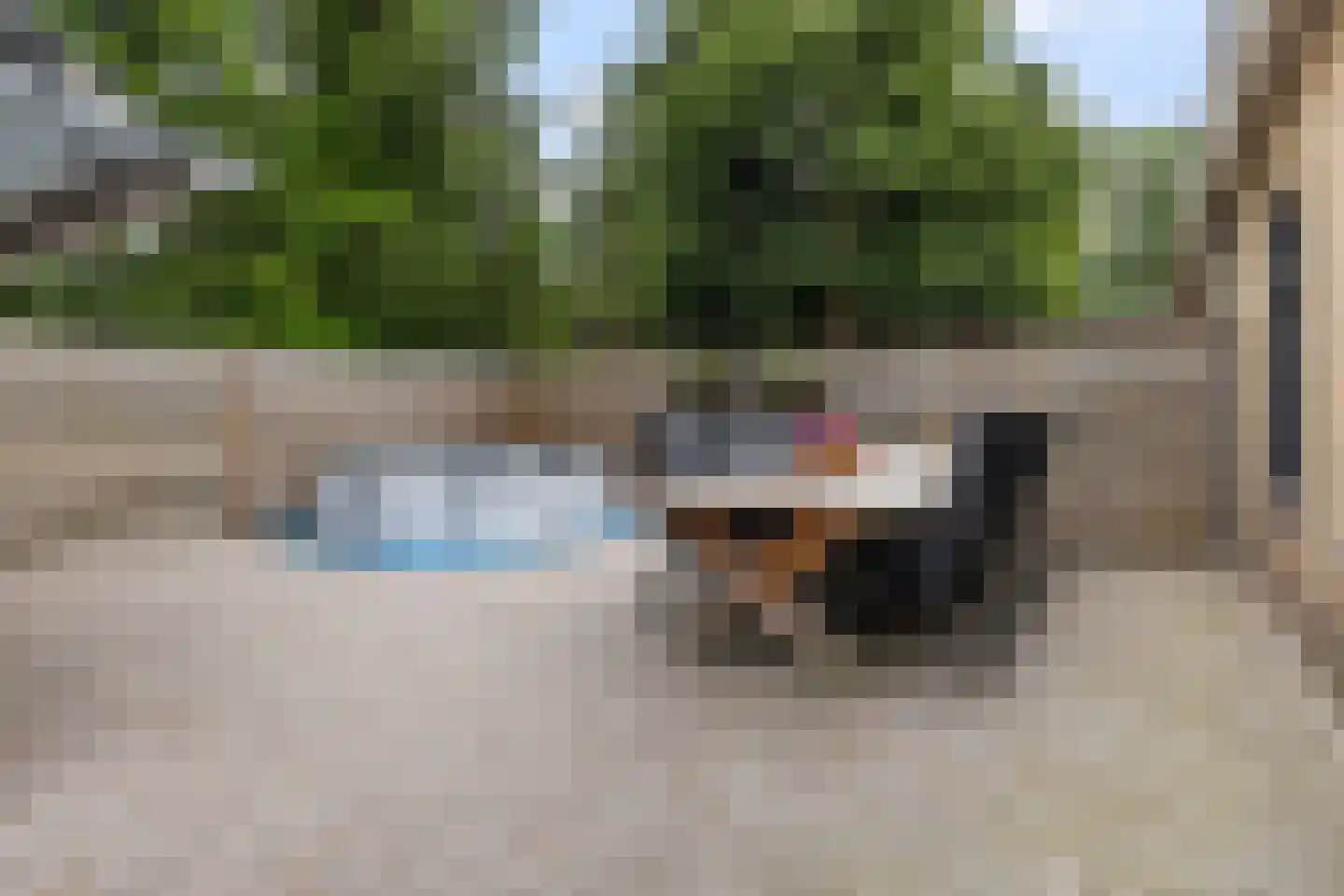 De Popels 37 Twijzelerheide thumbnail 23