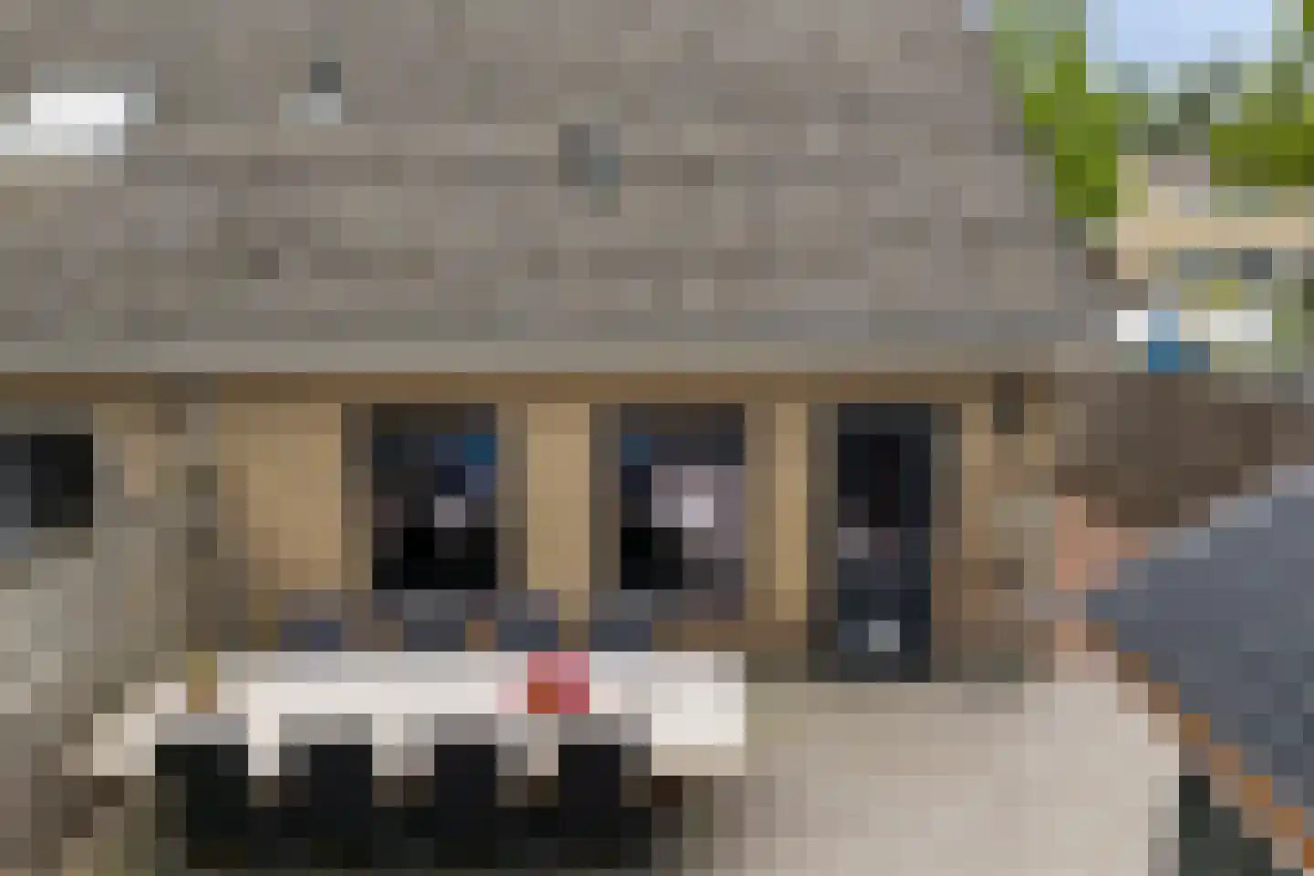 De Popels 37 Twijzelerheide thumbnail 24
