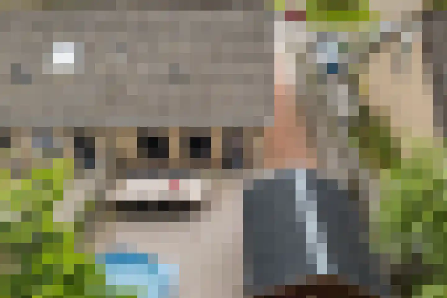De Popels 37 Twijzelerheide thumbnail 25