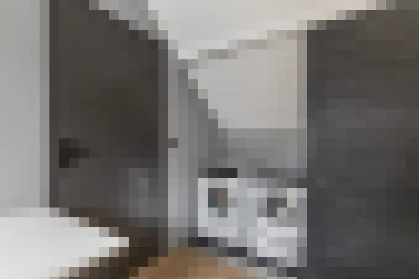 De Popels 37 Twijzelerheide thumbnail 33
