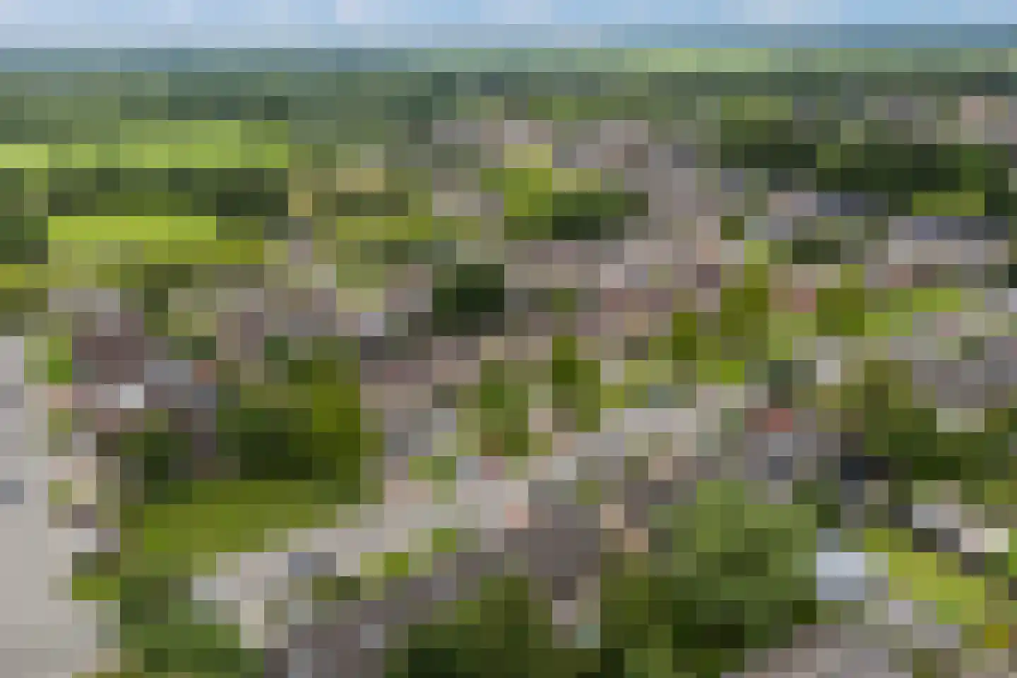 De Popels 37 Twijzelerheide thumbnail 42