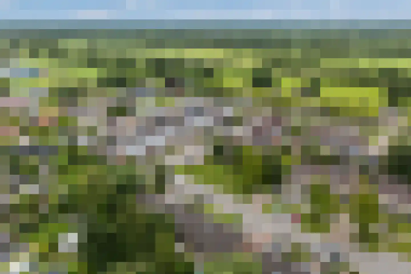 De Popels 37 Twijzelerheide thumbnail 5