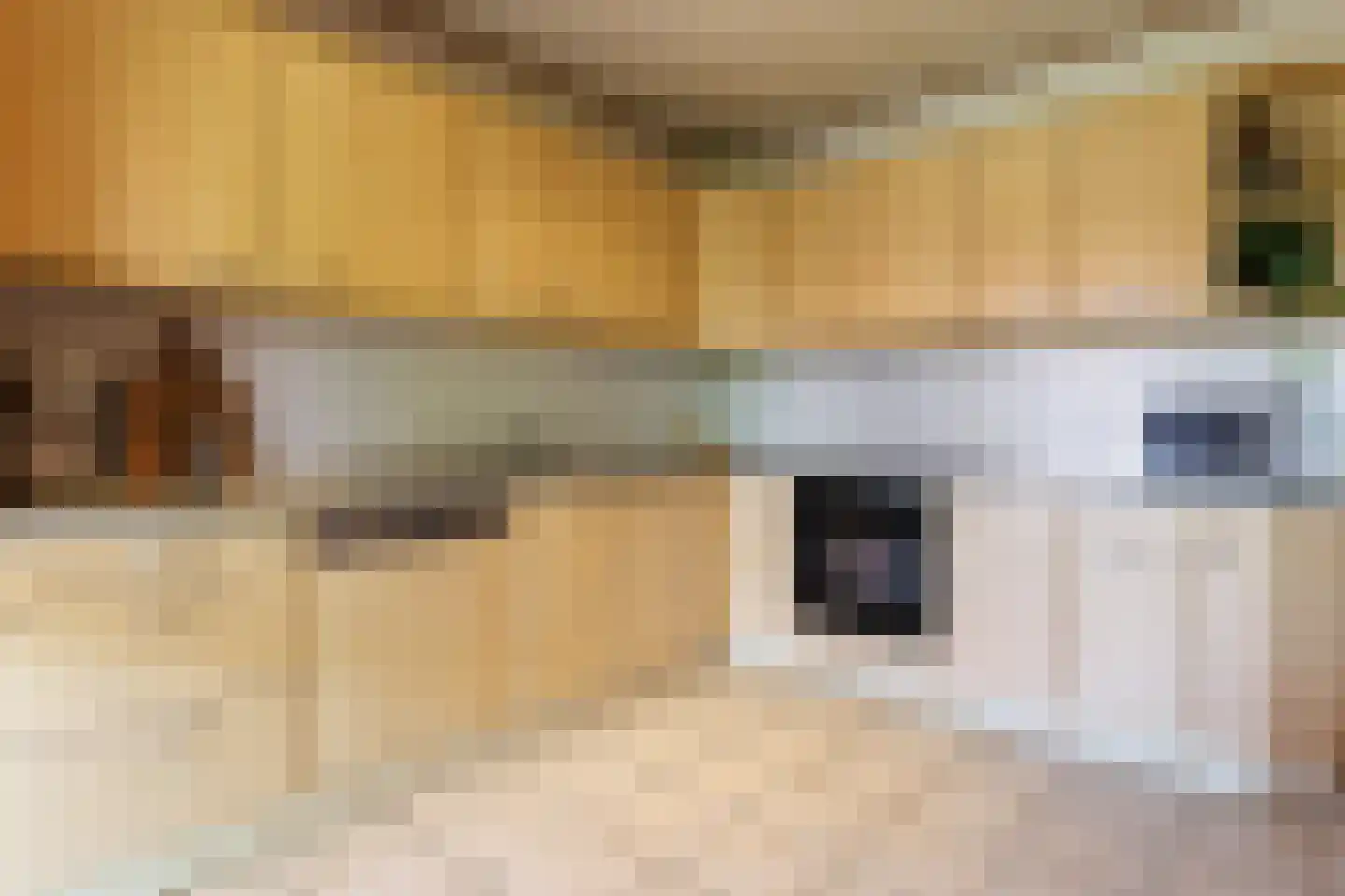 De Poppe 12 de Lutte thumbnail 14