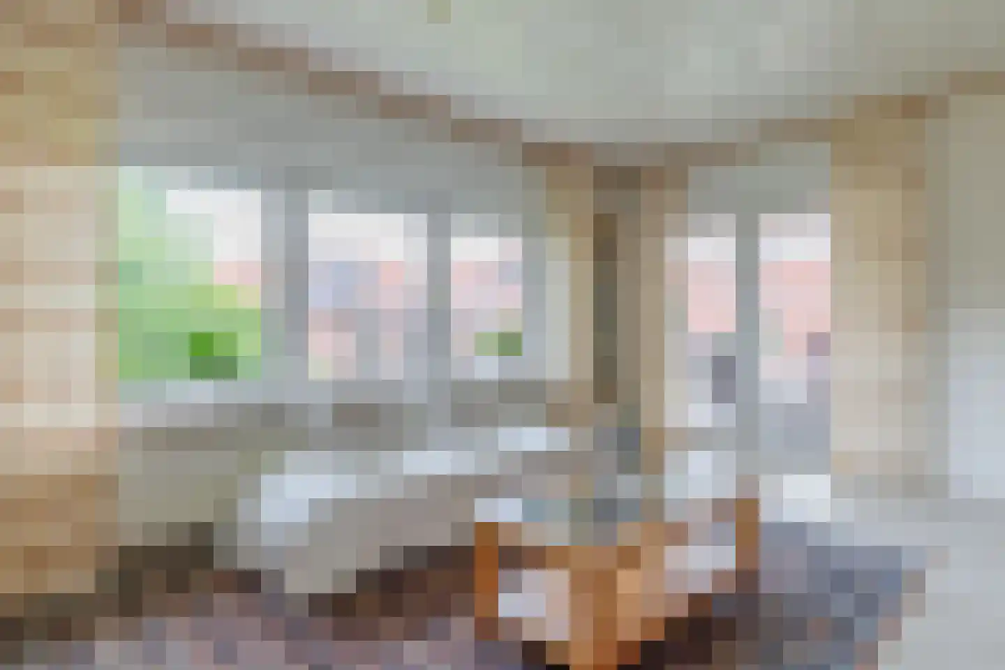De Poppe 12 de Lutte thumbnail 16