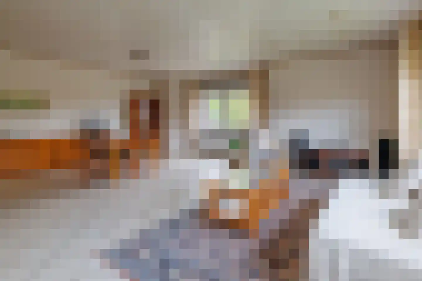 De Poppe 12 de Lutte thumbnail 17