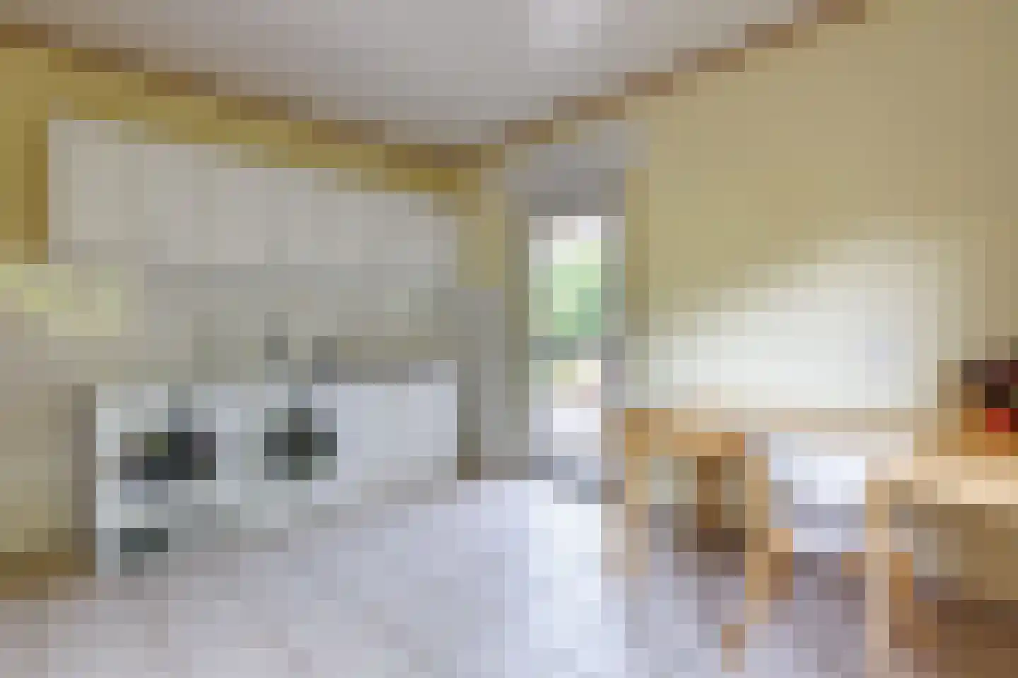 De Poppe 12 de Lutte thumbnail 26