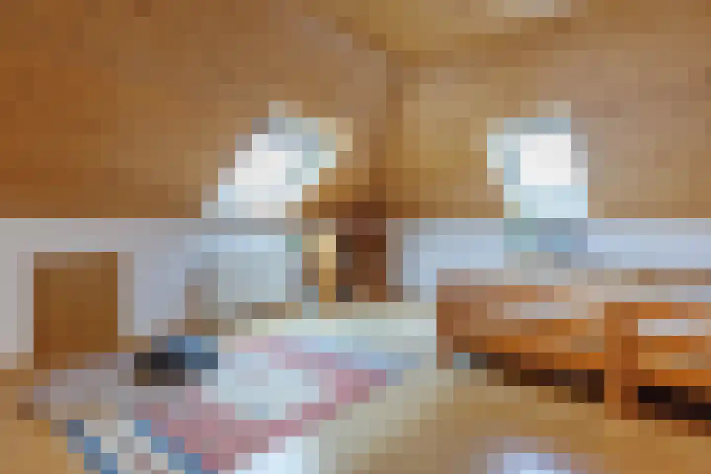 De Poppe 12 de Lutte thumbnail 30
