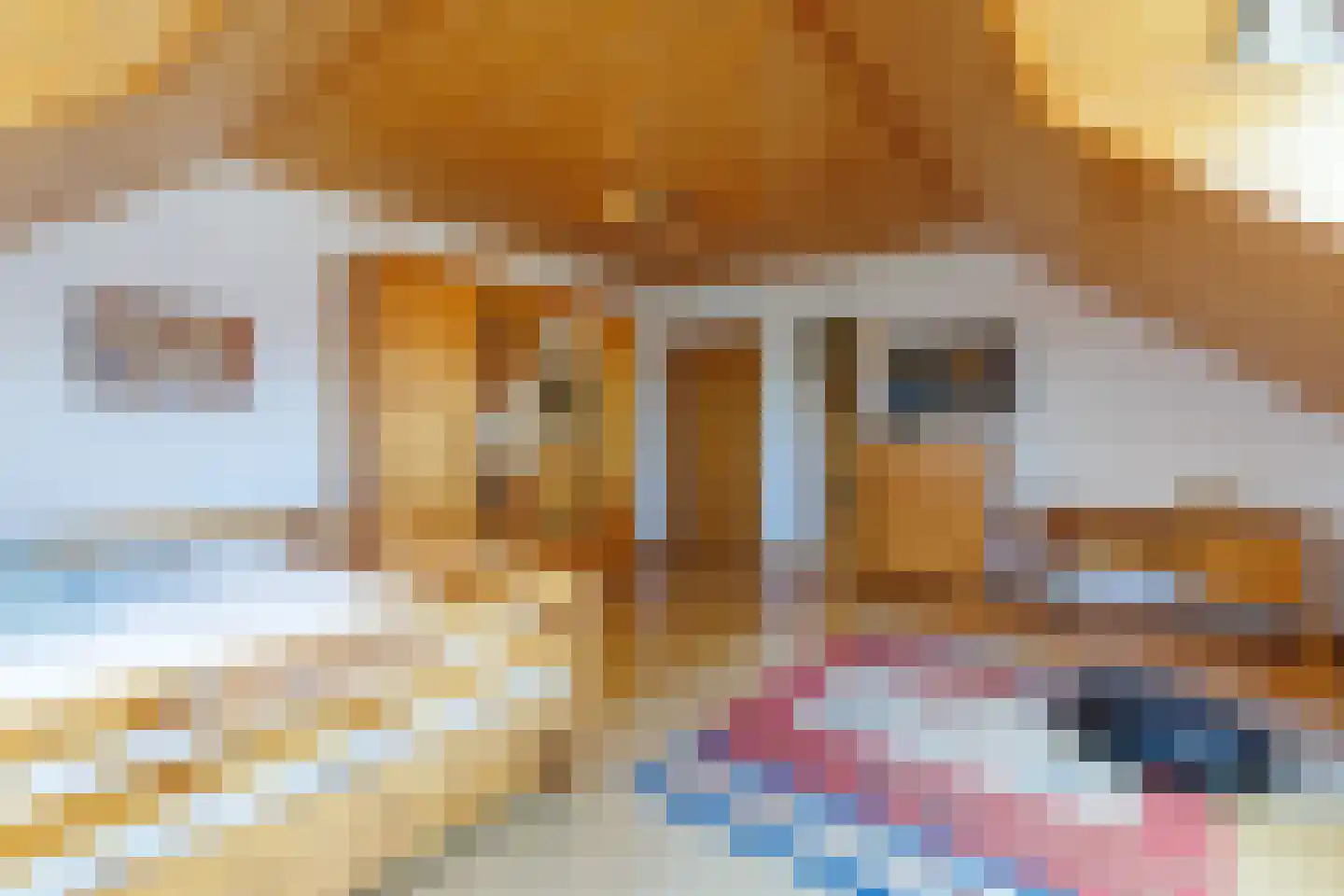 De Poppe 12 de Lutte thumbnail 31