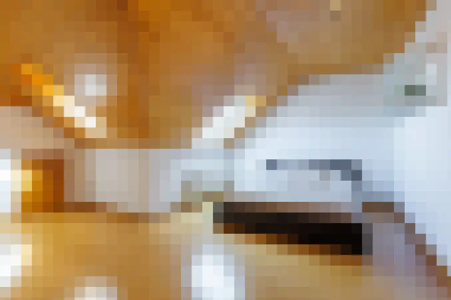 De Poppe 12 de Lutte thumbnail 32