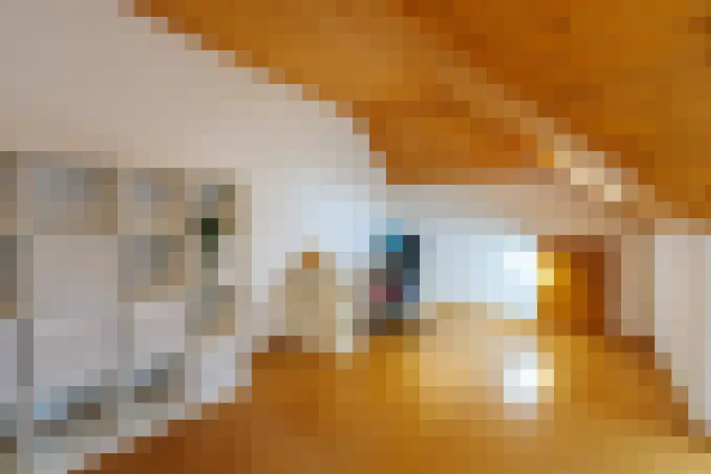 De Poppe 12 de Lutte thumbnail 33