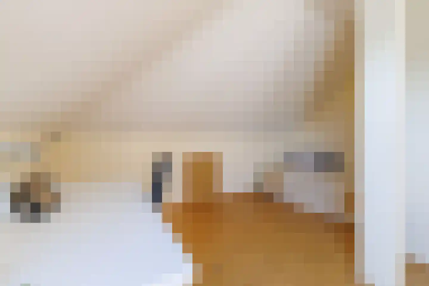 De Poppe 12 de Lutte thumbnail 34