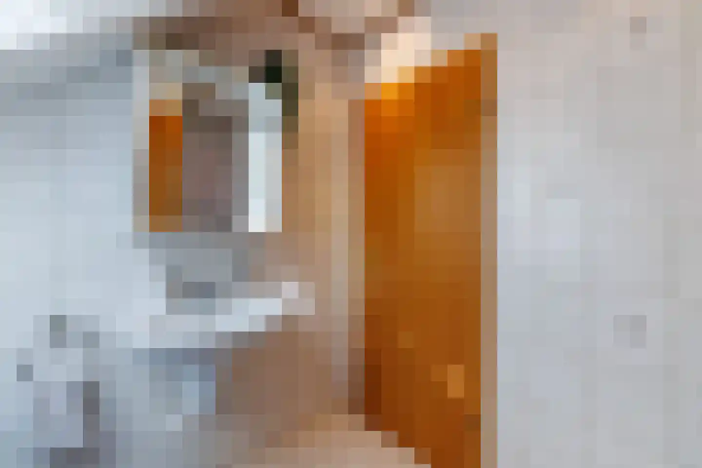 De Poppe 12 de Lutte thumbnail 40