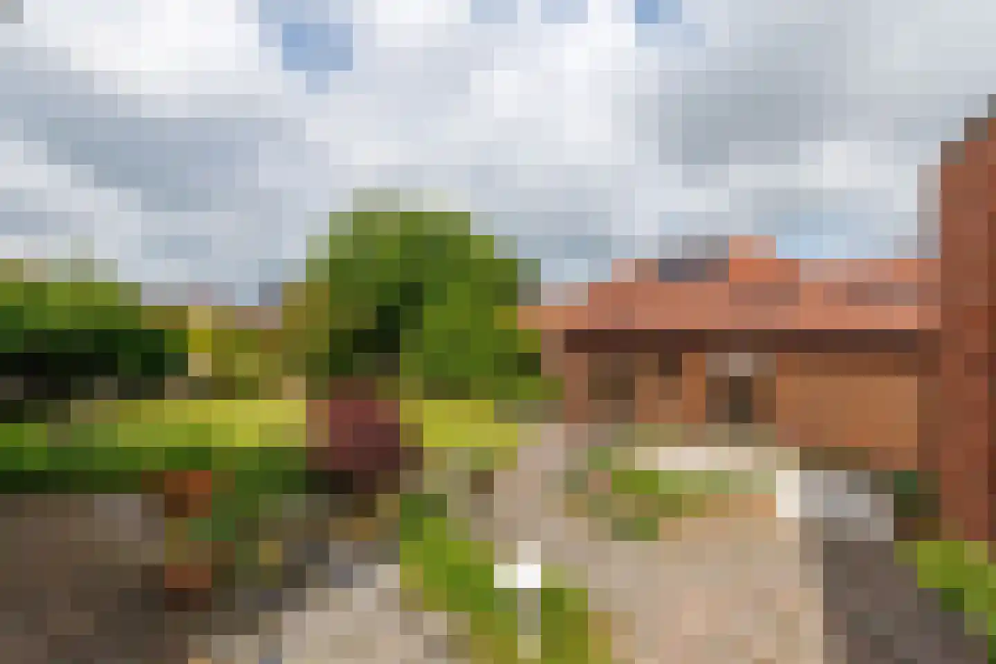 De Poppe 12 de Lutte thumbnail 43