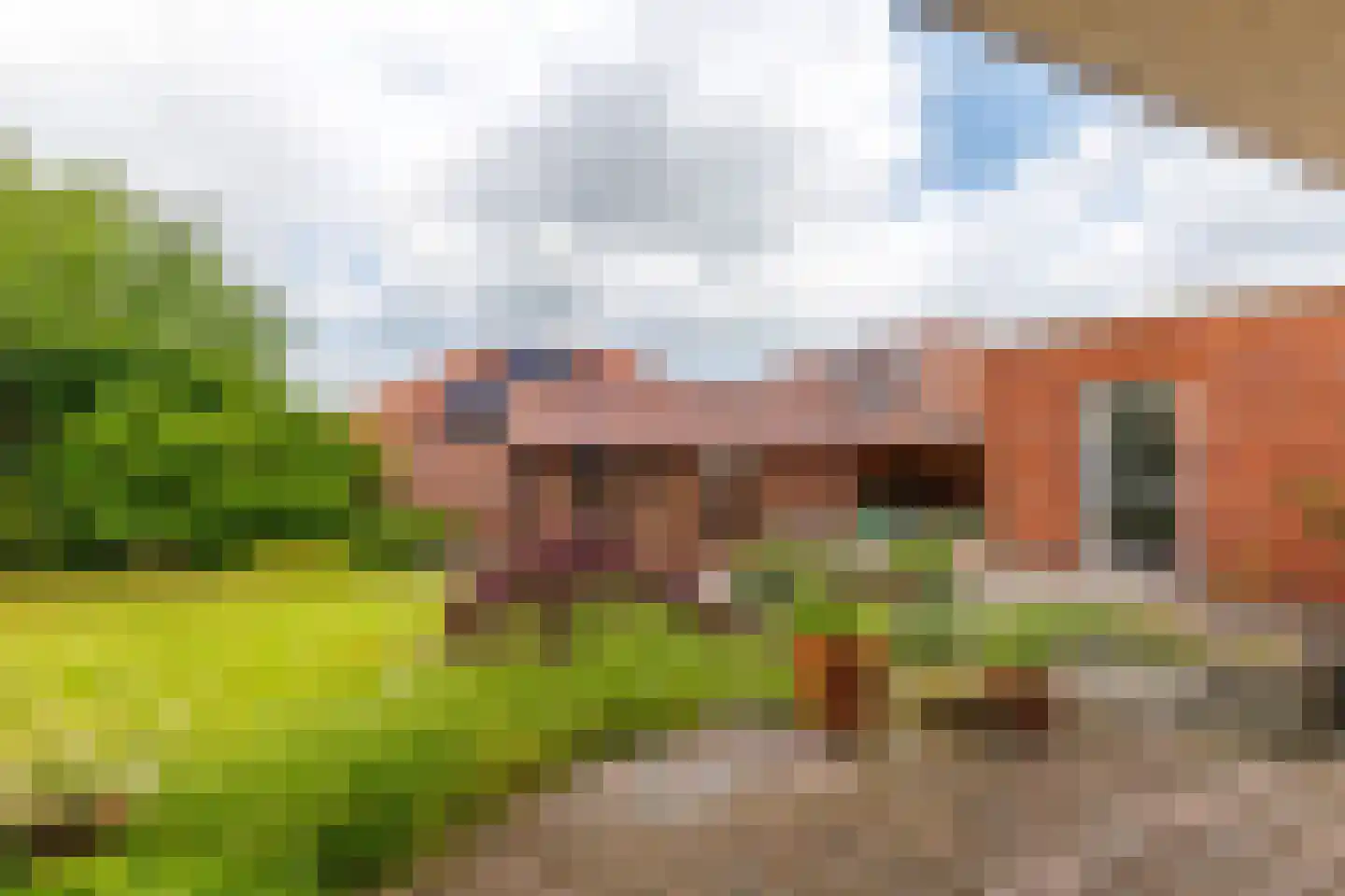 De Poppe 12 de Lutte thumbnail 45