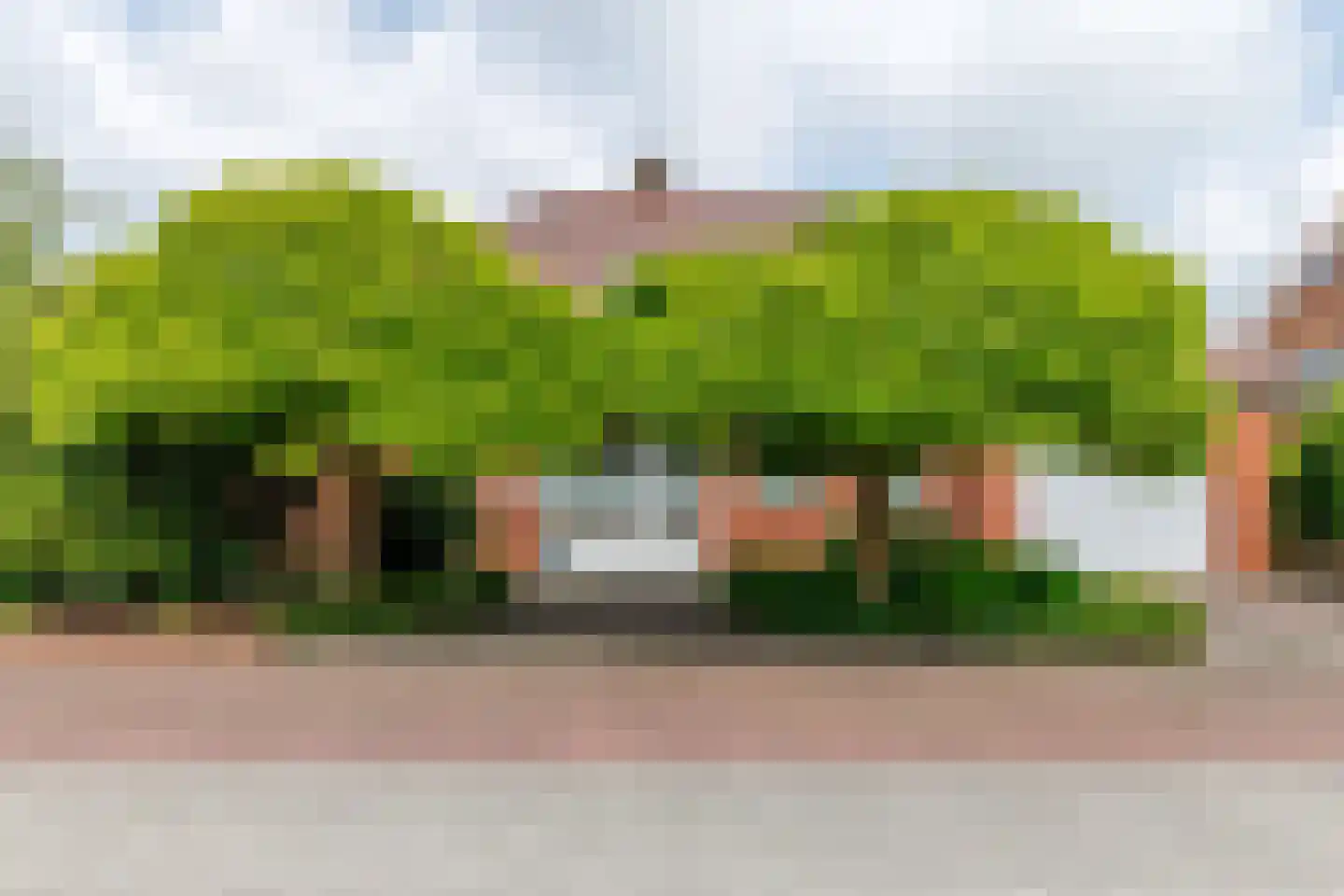 De Poppe 12 de Lutte thumbnail 46