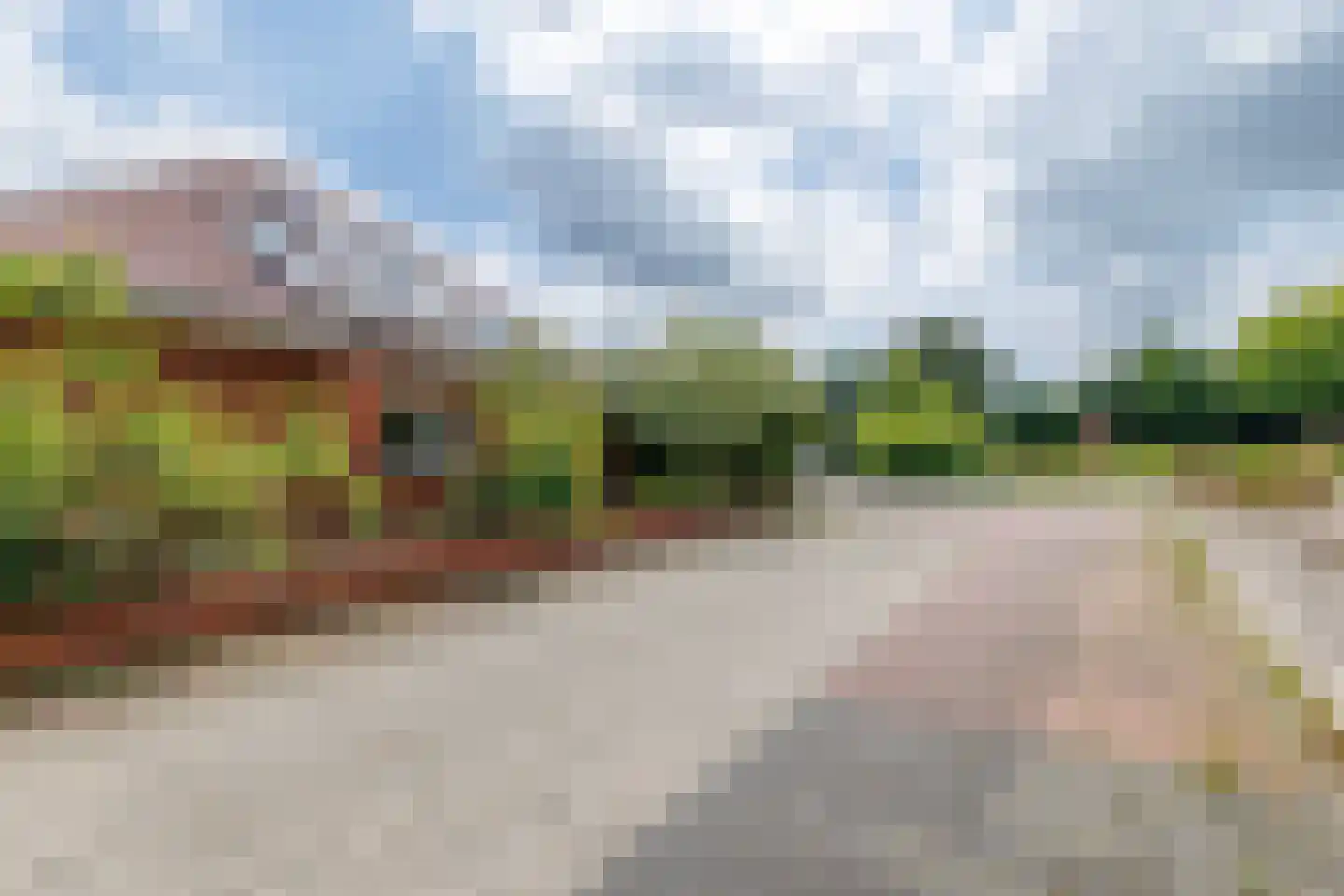 De Poppe 12 de Lutte thumbnail 47