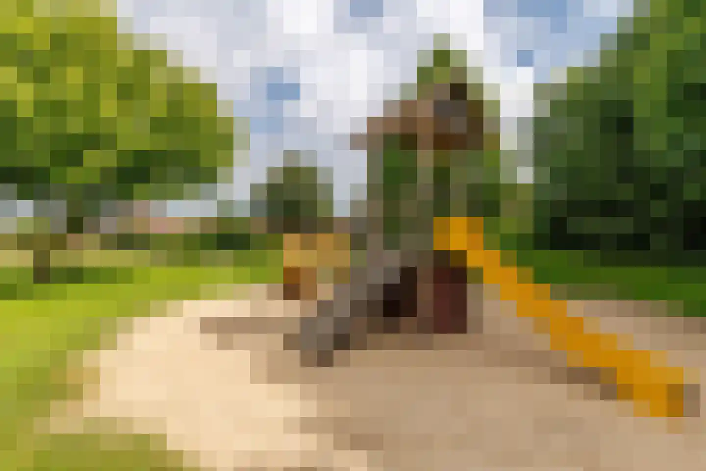 De Poppe 12 de Lutte thumbnail 49