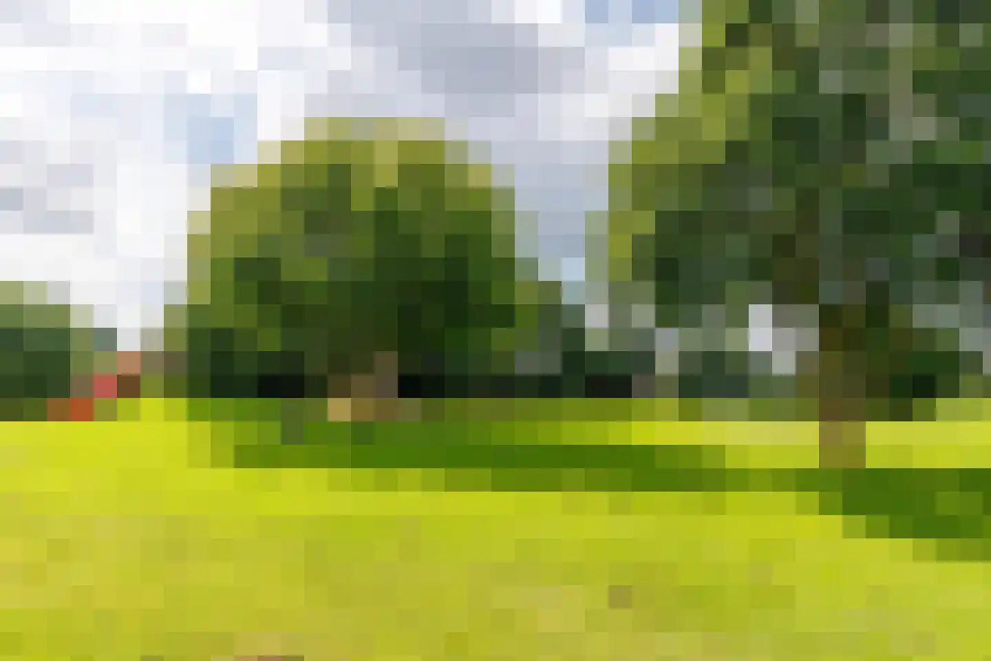 De Poppe 12 de Lutte thumbnail 50