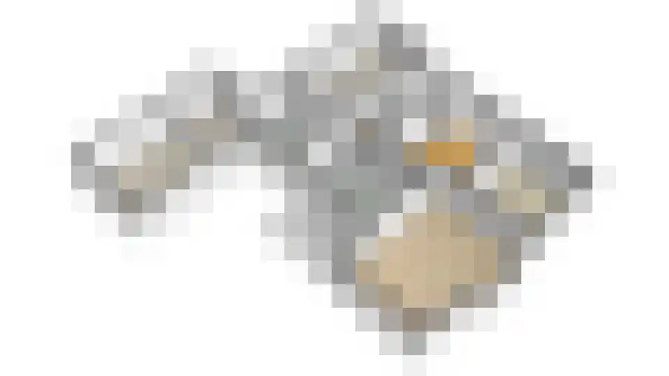De Poppe 12 de Lutte thumbnail 52