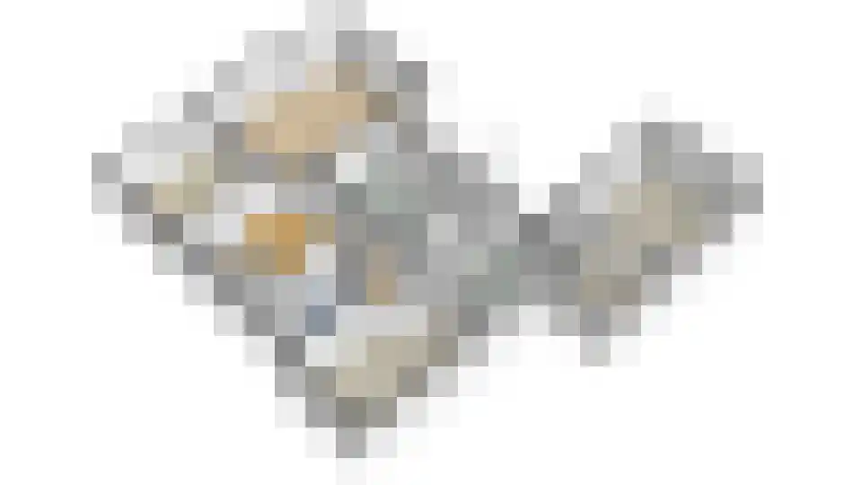 De Poppe 12 de Lutte thumbnail 53