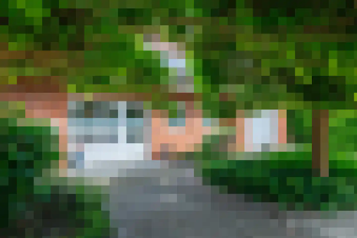 De Poppe 12 de Lutte thumbnail 6