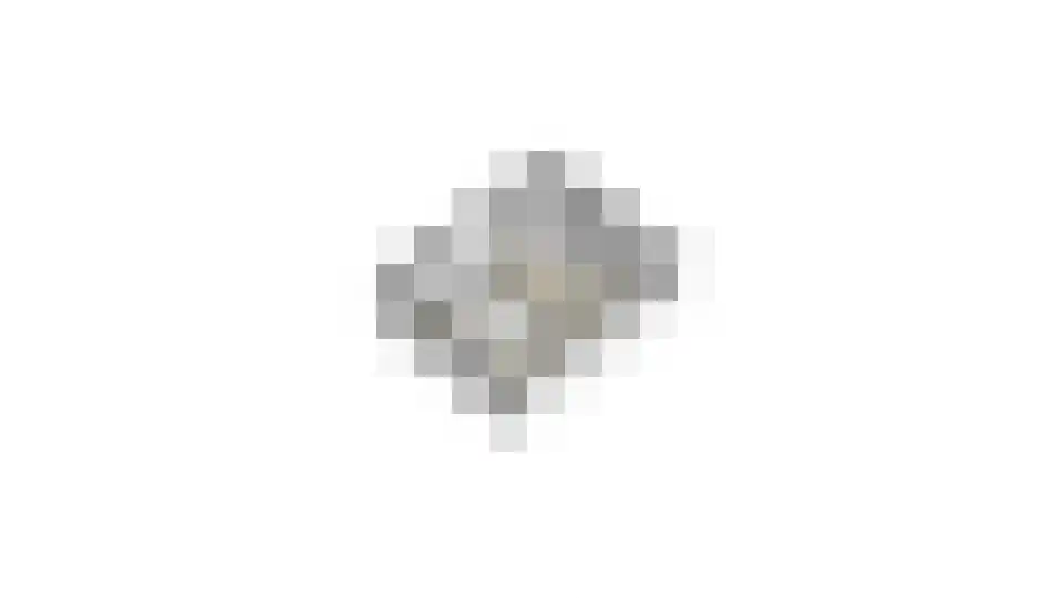 De Poppe 12 de Lutte thumbnail 61