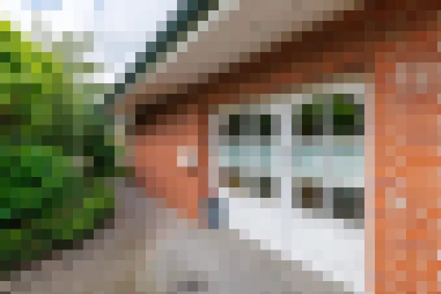 De Poppe 12 de Lutte thumbnail 7