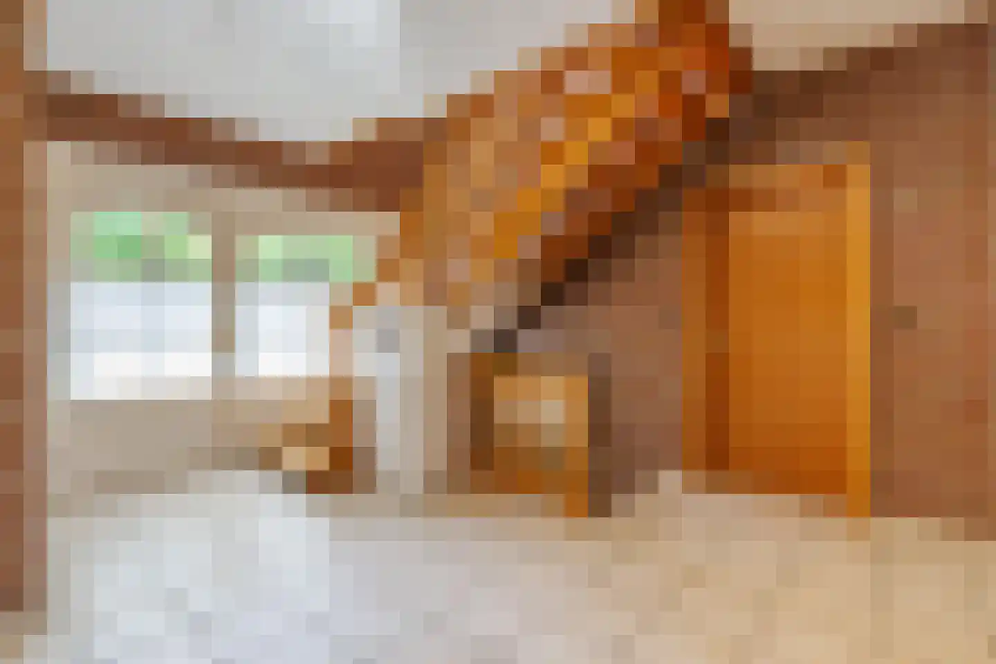 De Poppe 12 de Lutte thumbnail 8