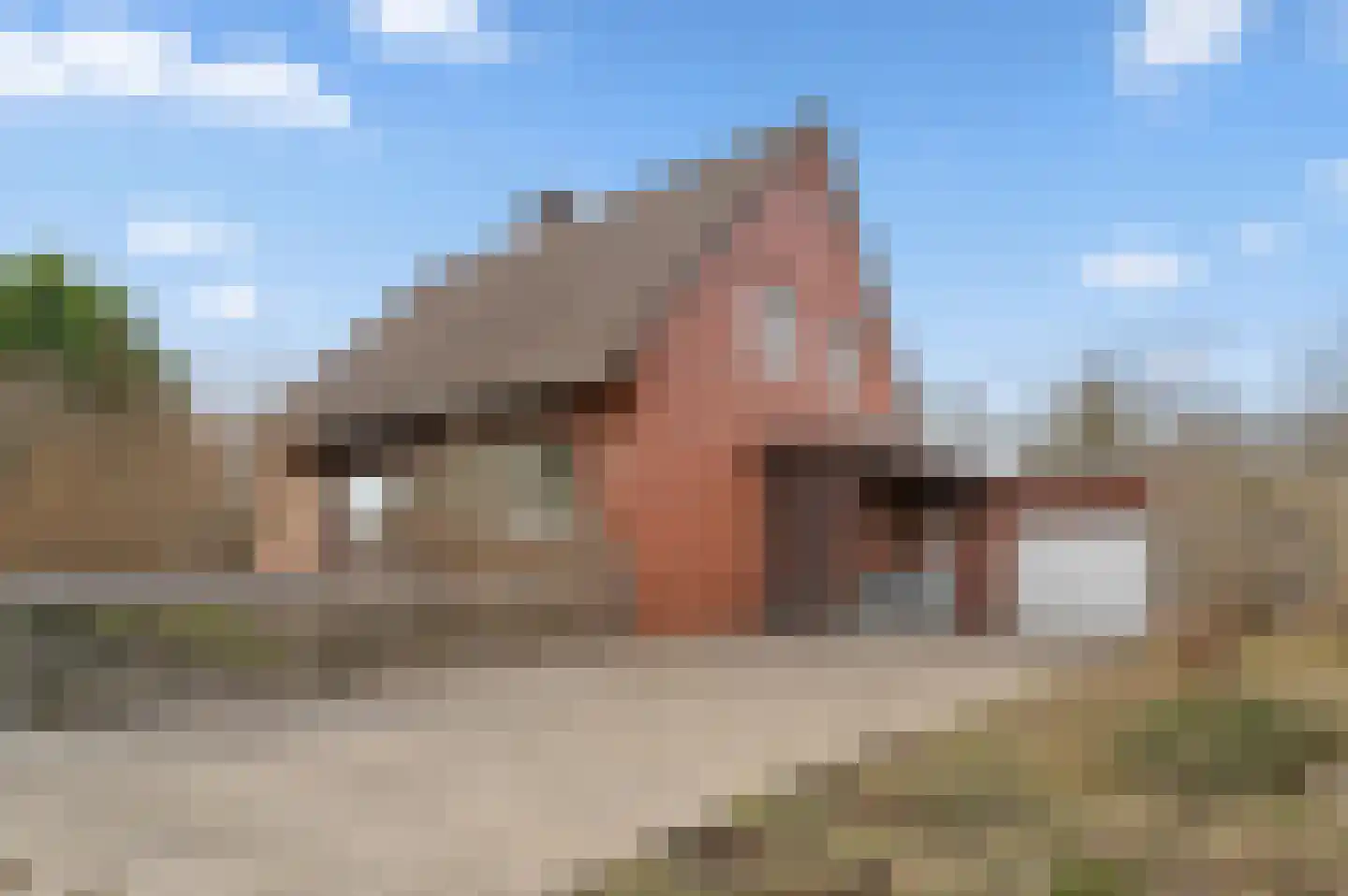 De Poppe 18 de Lutte foto 2
