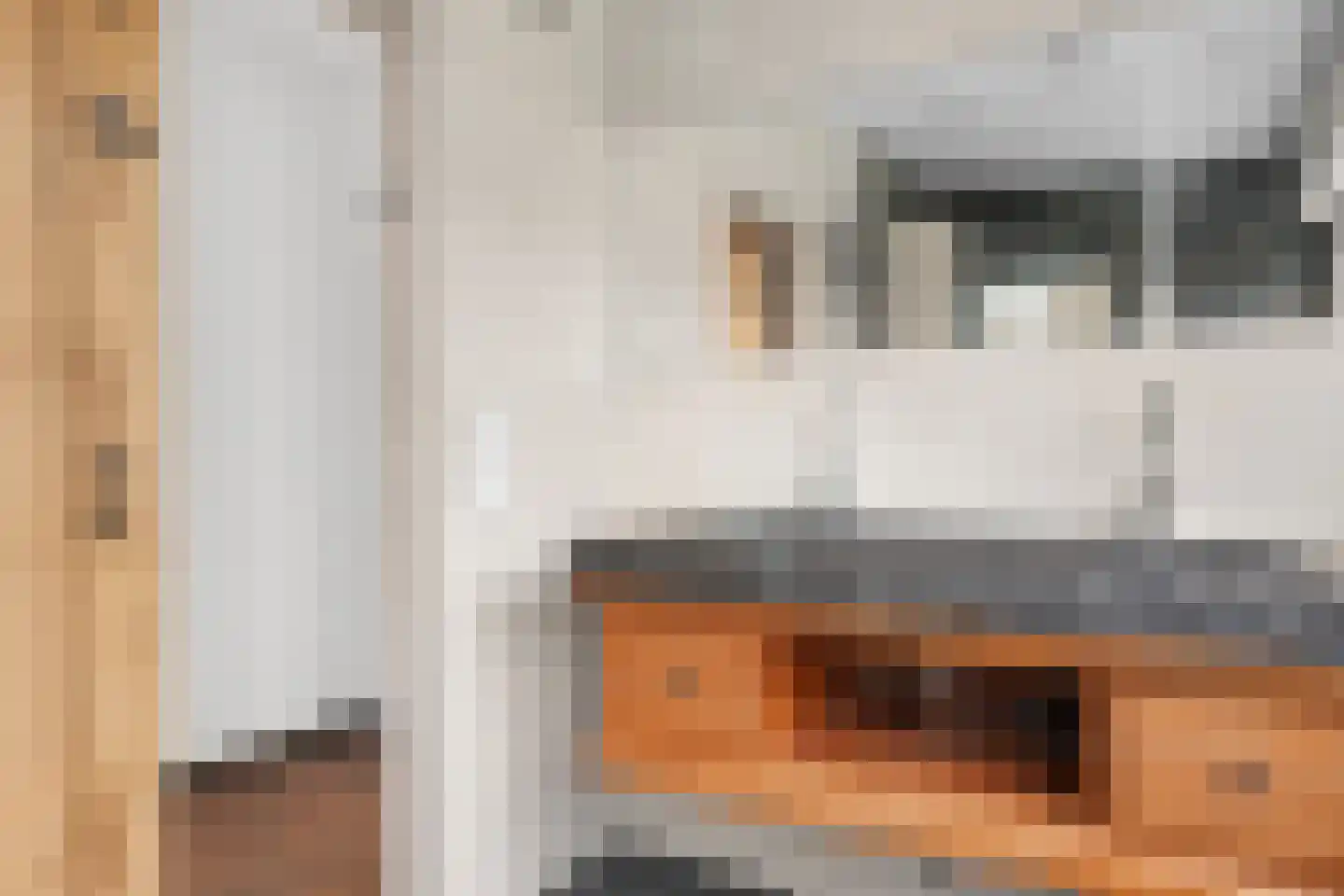 De Poppe 18 de Lutte thumbnail 21