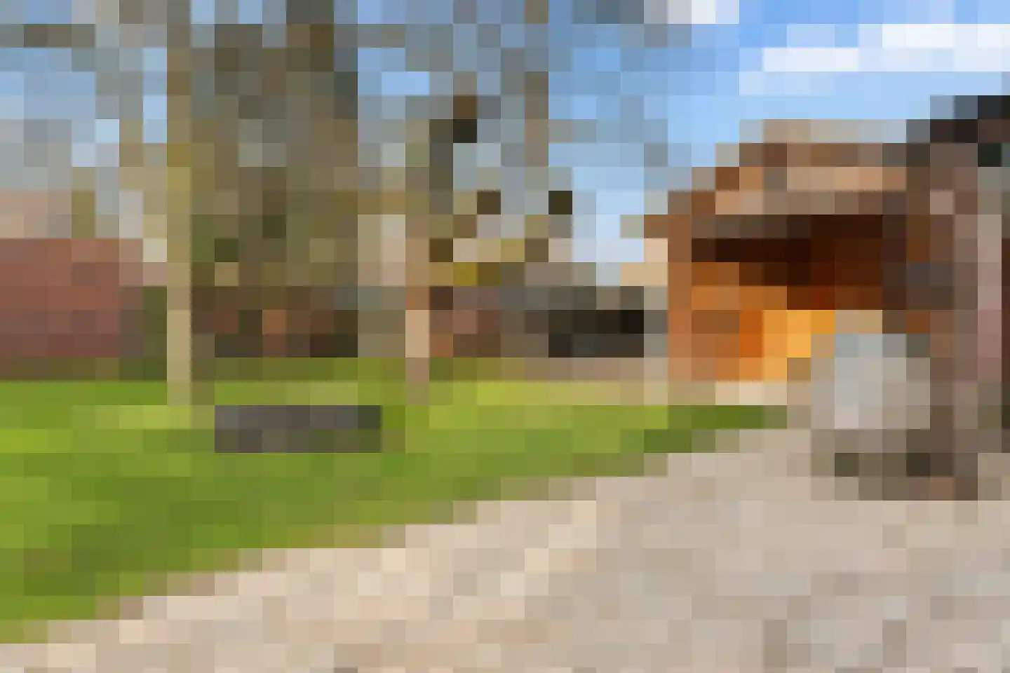 De Poppe 18 de Lutte thumbnail 25