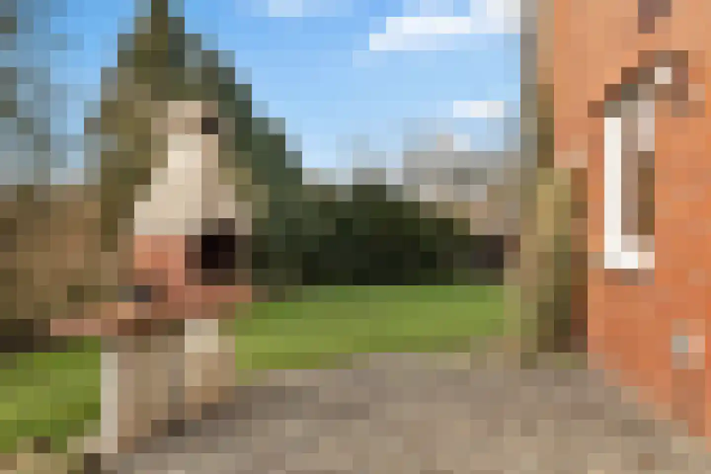 De Poppe 18 de Lutte thumbnail 28