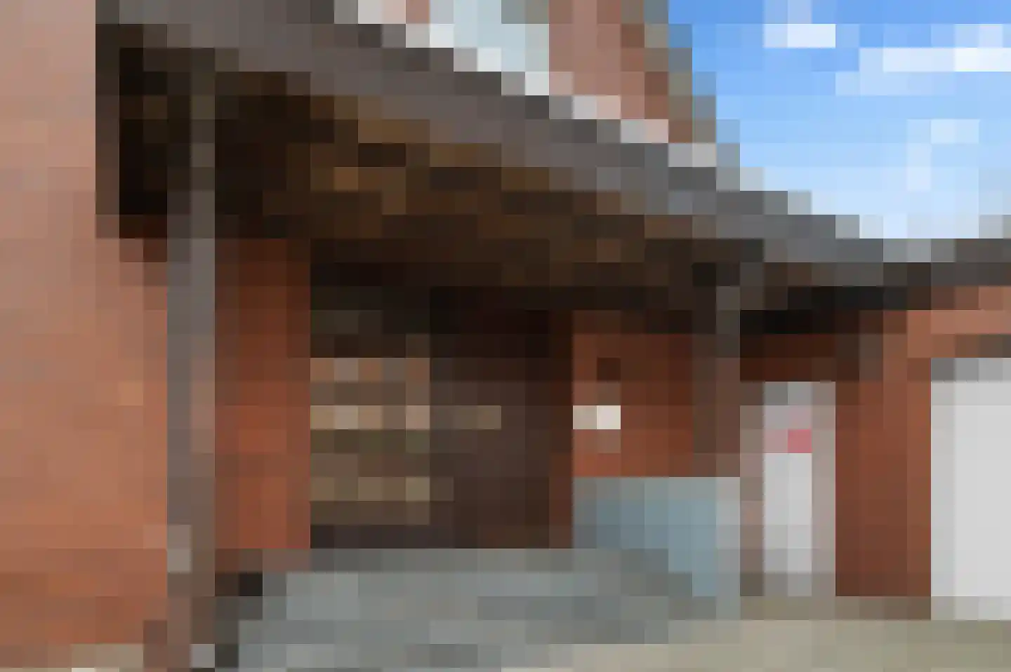 De Poppe 18 de Lutte thumbnail 4