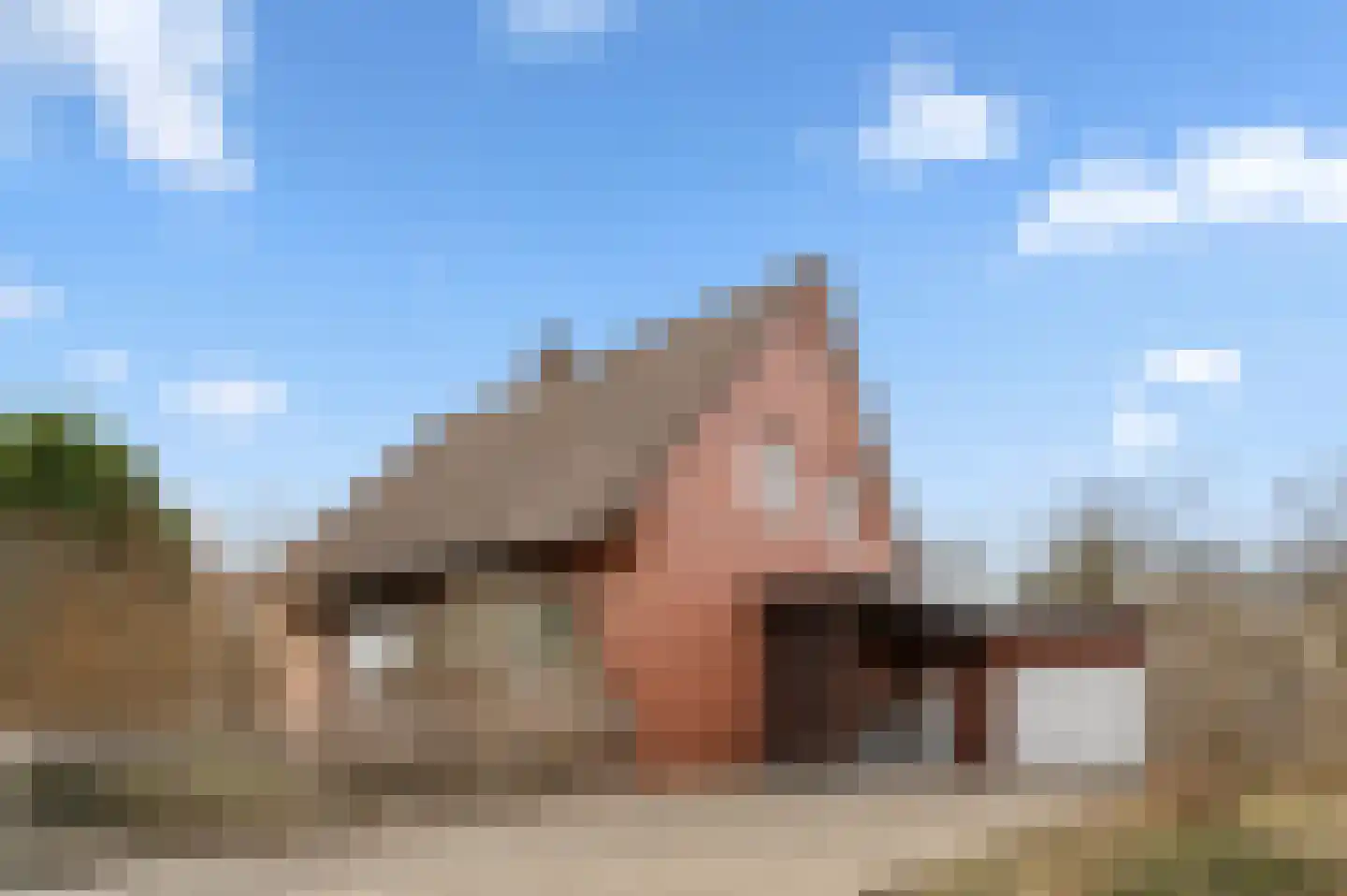 De Poppe 18 de Lutte thumbnail 5