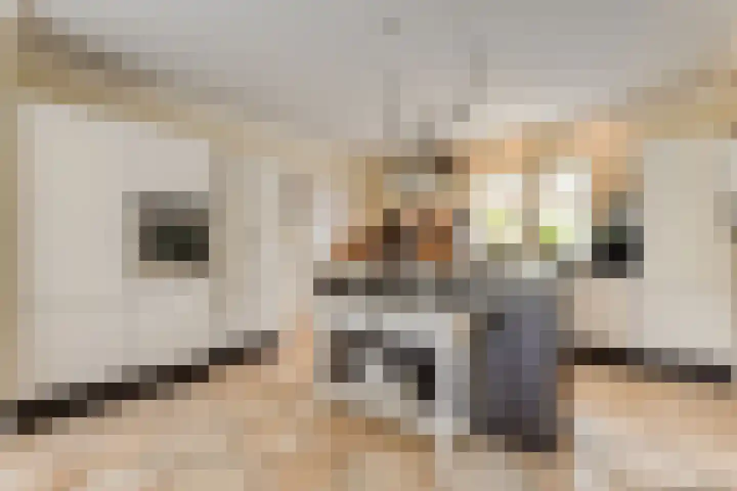 De Poppe 21 de Lutte thumbnail 14