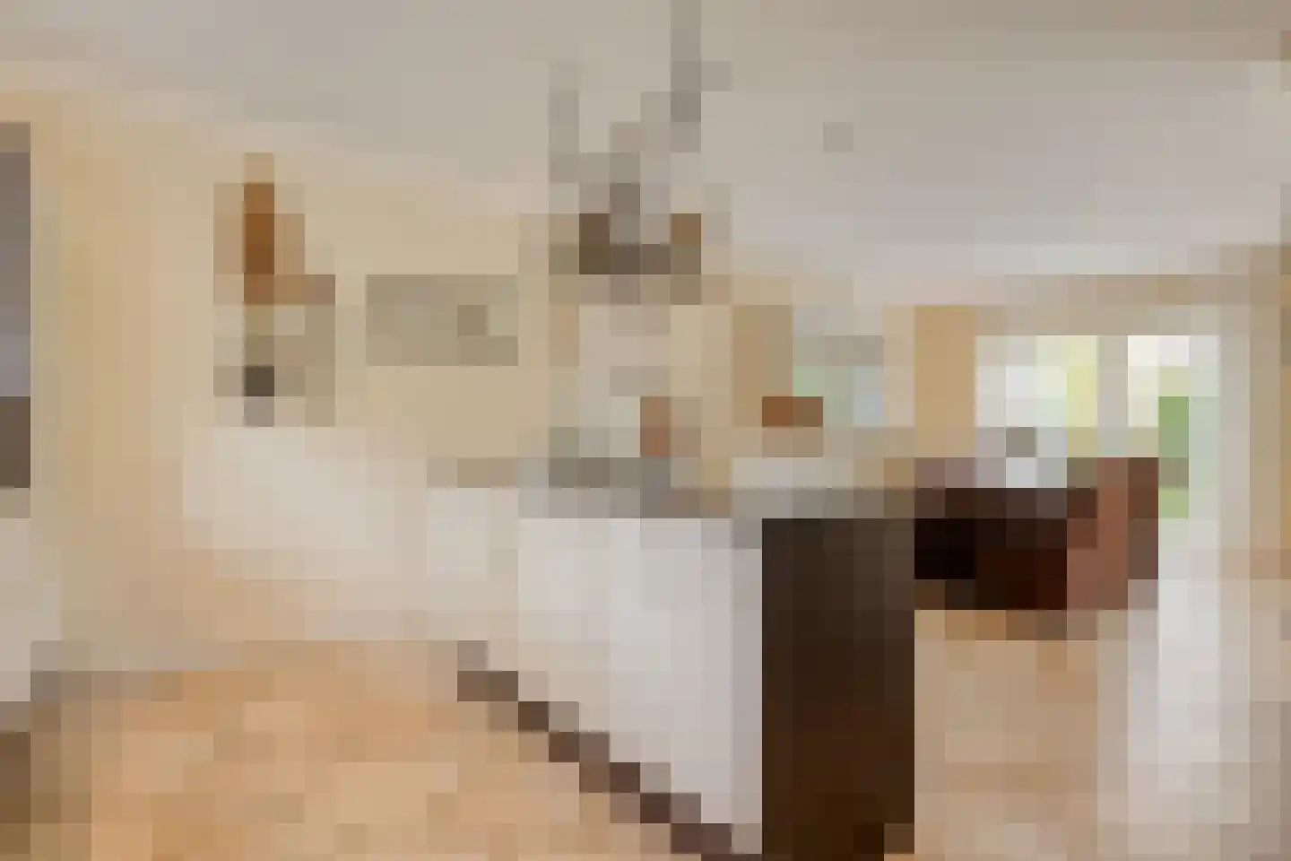 De Poppe 21 de Lutte thumbnail 15