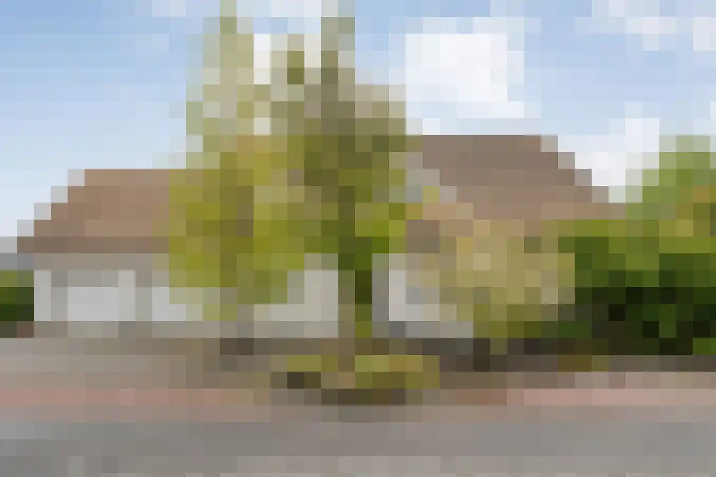 De Poppe 21 de Lutte foto 2