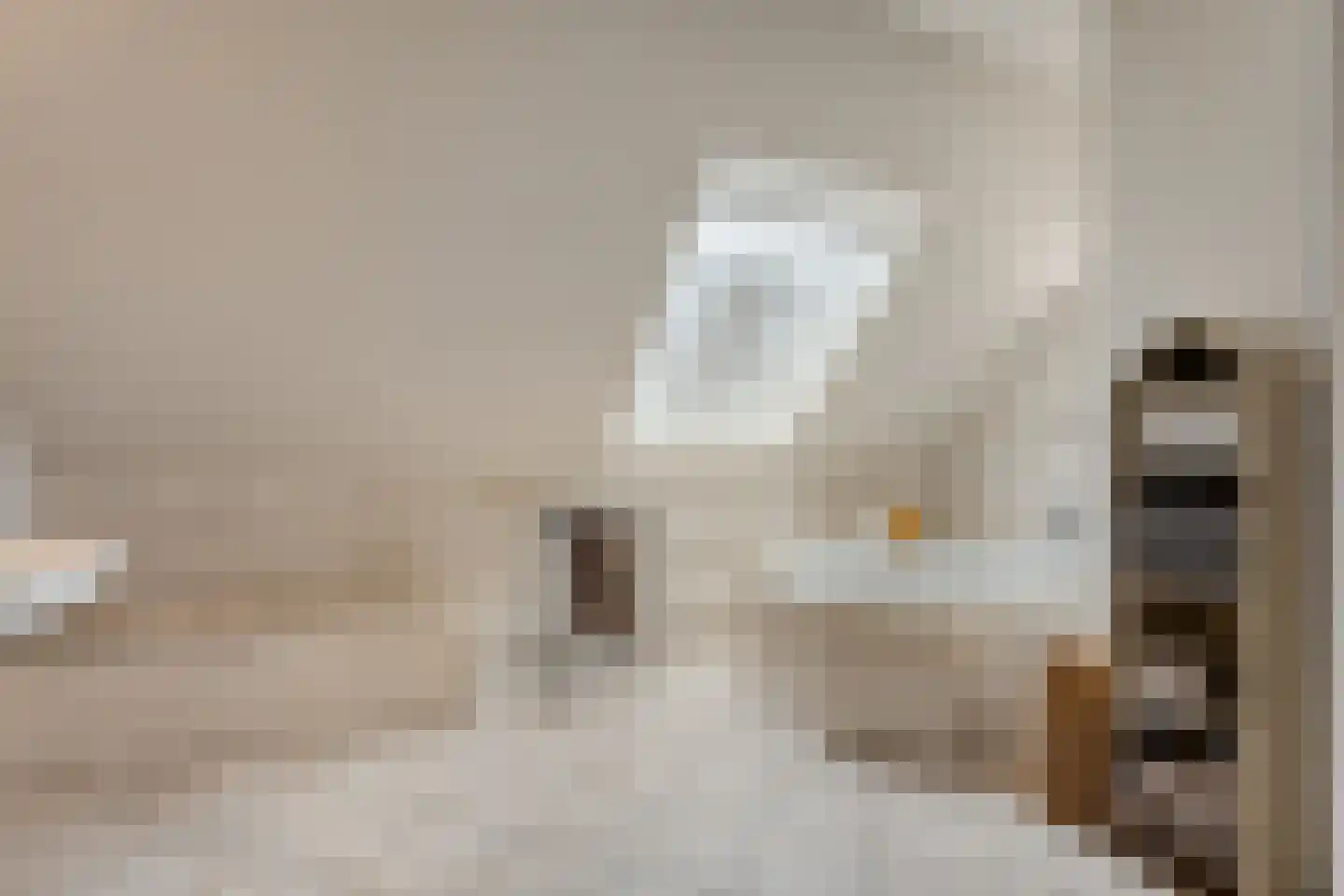 De Poppe 21 de Lutte thumbnail 22