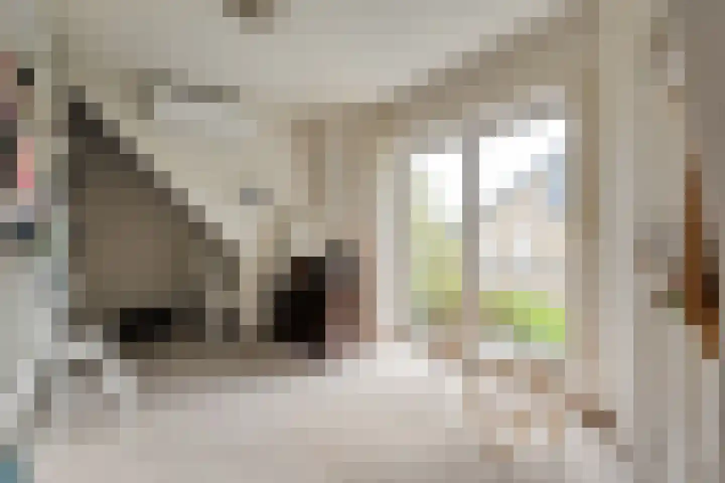 De Poppe 21 de Lutte thumbnail 27