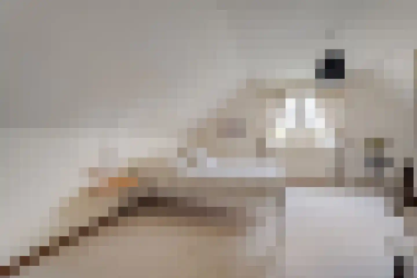 De Poppe 21 de Lutte thumbnail 28