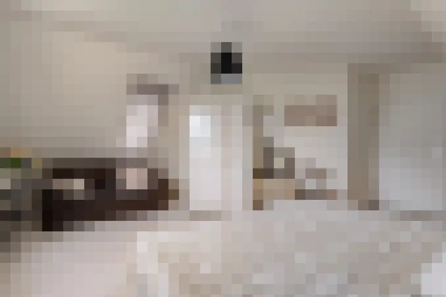 De Poppe 21 de Lutte thumbnail 29