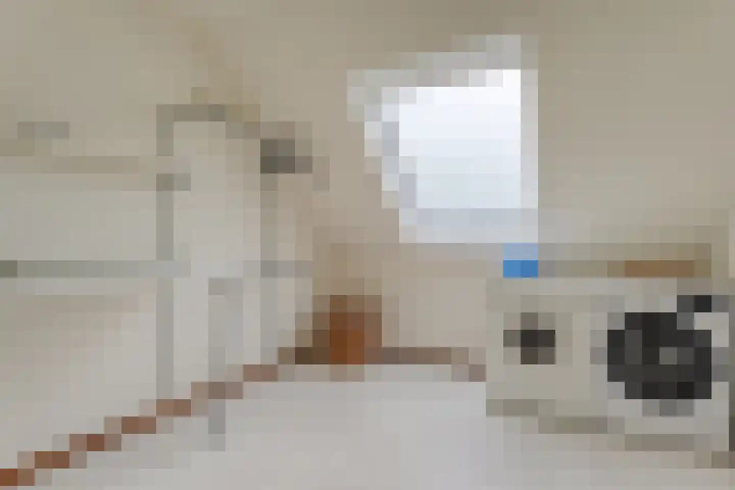 De Poppe 21 de Lutte thumbnail 32